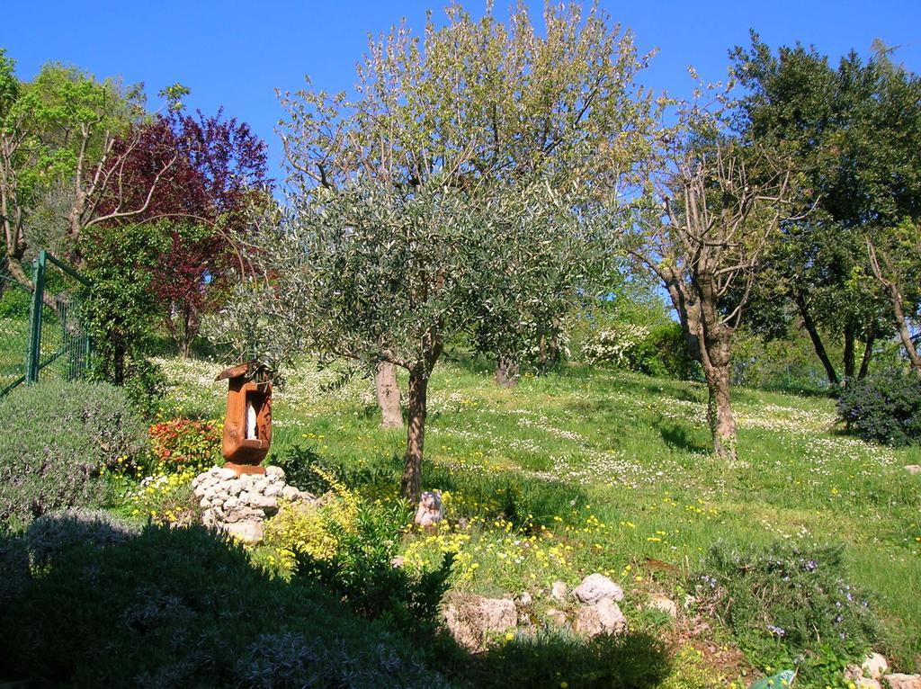 B&B Il Suono Del Bosco Arcugnano Eksteriør bilde