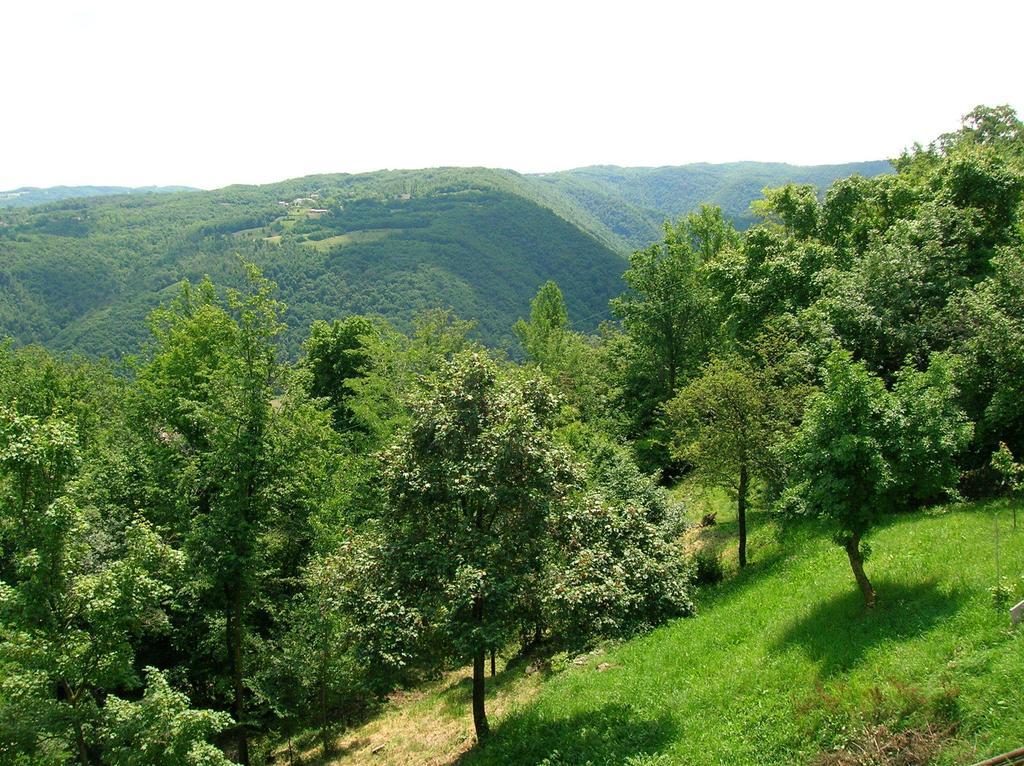 B&B Il Suono Del Bosco Arcugnano Eksteriør bilde