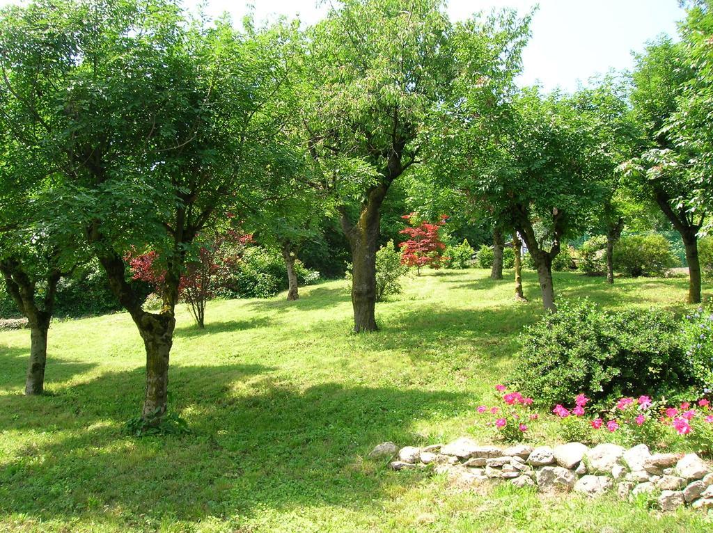 B&B Il Suono Del Bosco Arcugnano Eksteriør bilde